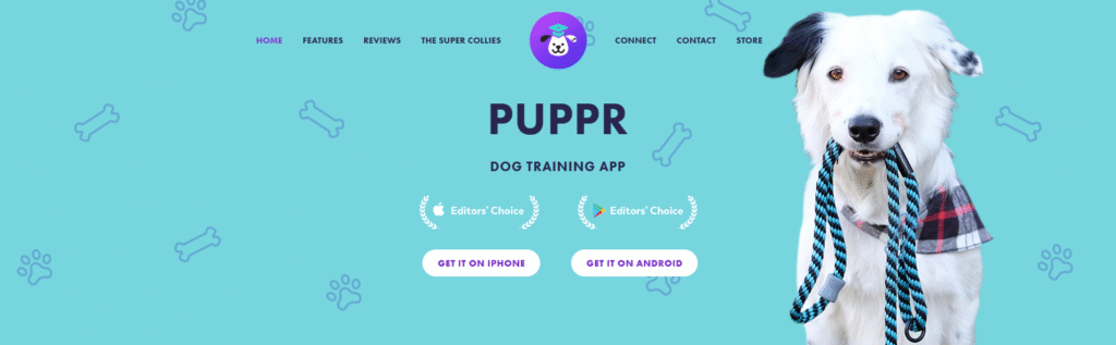 Best Dog Training App - Puppr